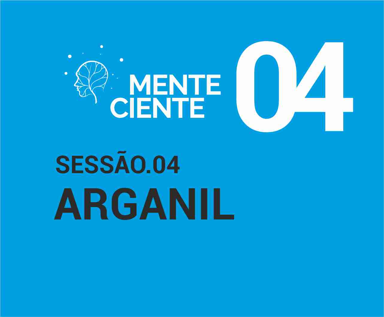 Sessão 4 - Arganil